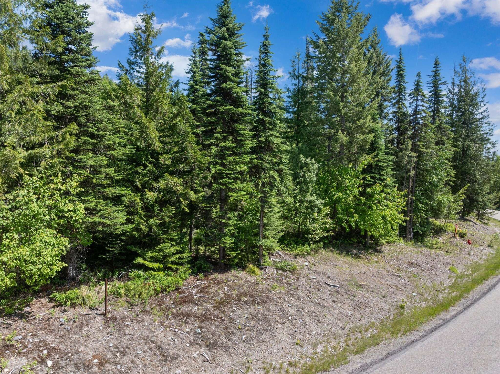 Whitefish, MT 59937,191 Woodlandstar CIR