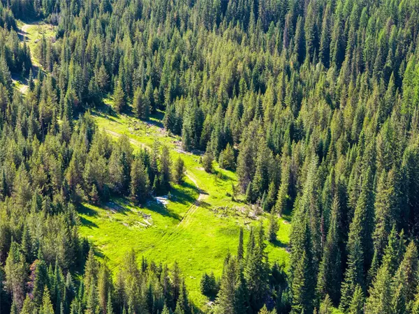 unk Packer Creek RD, Haugan, MT 59842