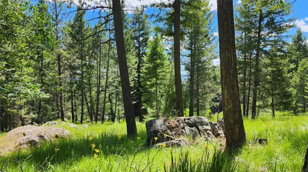 Bigfork, MT 59911,463 Hogue DR