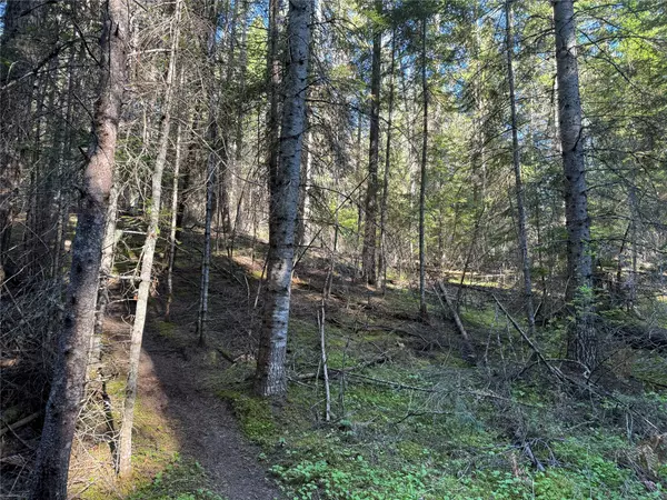 Thompson Falls, MT 59873,Lot 41 Rocky LN