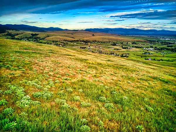 Missoula, MT 59808,NHN Sweet Pea WAY