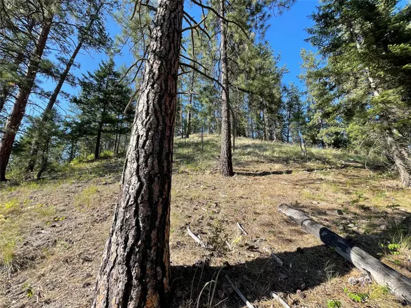 Saint Regis, MT 59866,515 Main ST