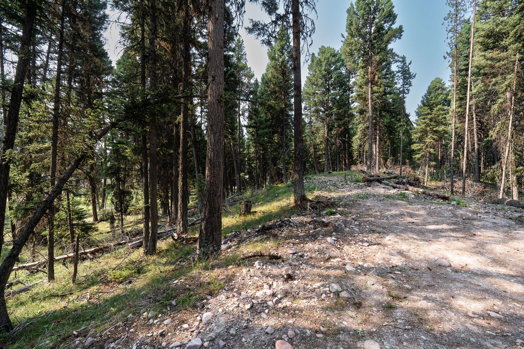701 Evergreen DR,  Seeley Lake,  MT 59868
