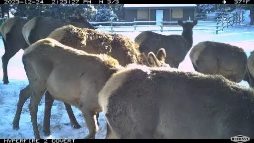 Jefferson City, MT 59638,NHN Summit Lode