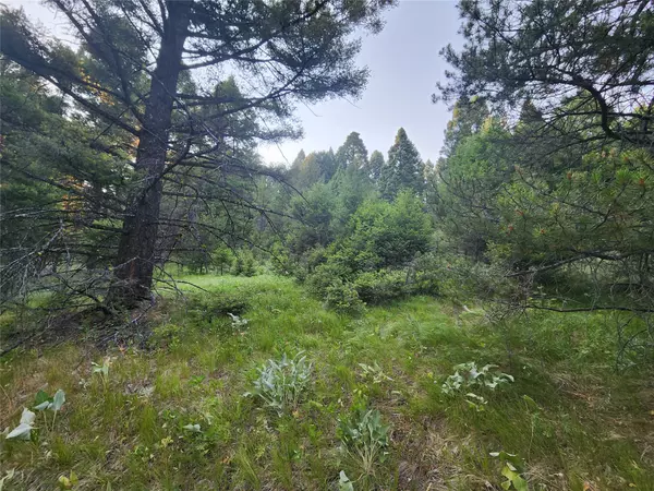 Drummond, MT 59832,60 and 63 Moonrise RD