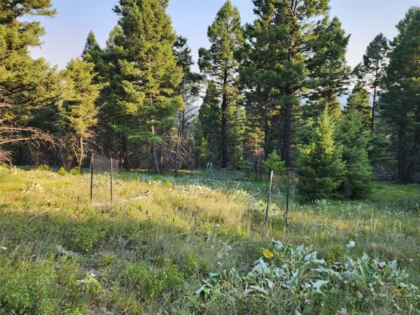 Drummond, MT 59832,60 and 63 Moonrise RD