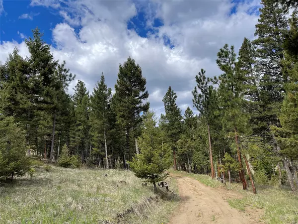 Tract 2B Grizzly Gulch DR, Helena, MT 59601