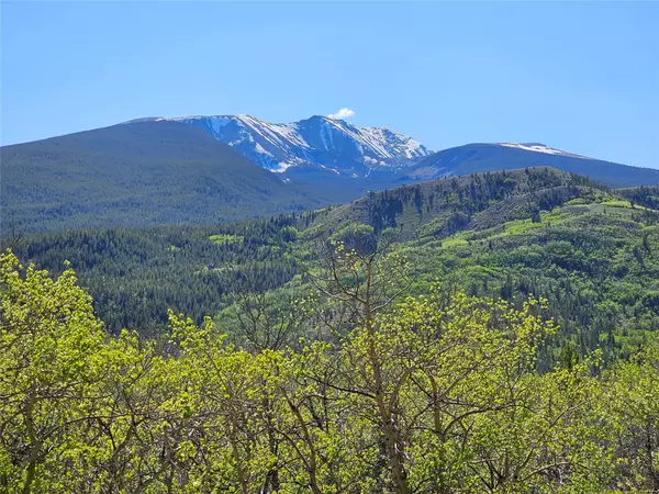 NHN Alpha Lode & Alpha Fraction Lode, Alpha TRL, Anaconda, MT 59711