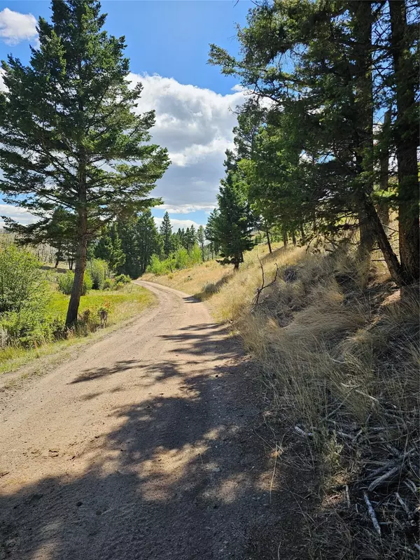 Boulder, MT 59632,NHN Plaindealer Lode Depot Hill RD