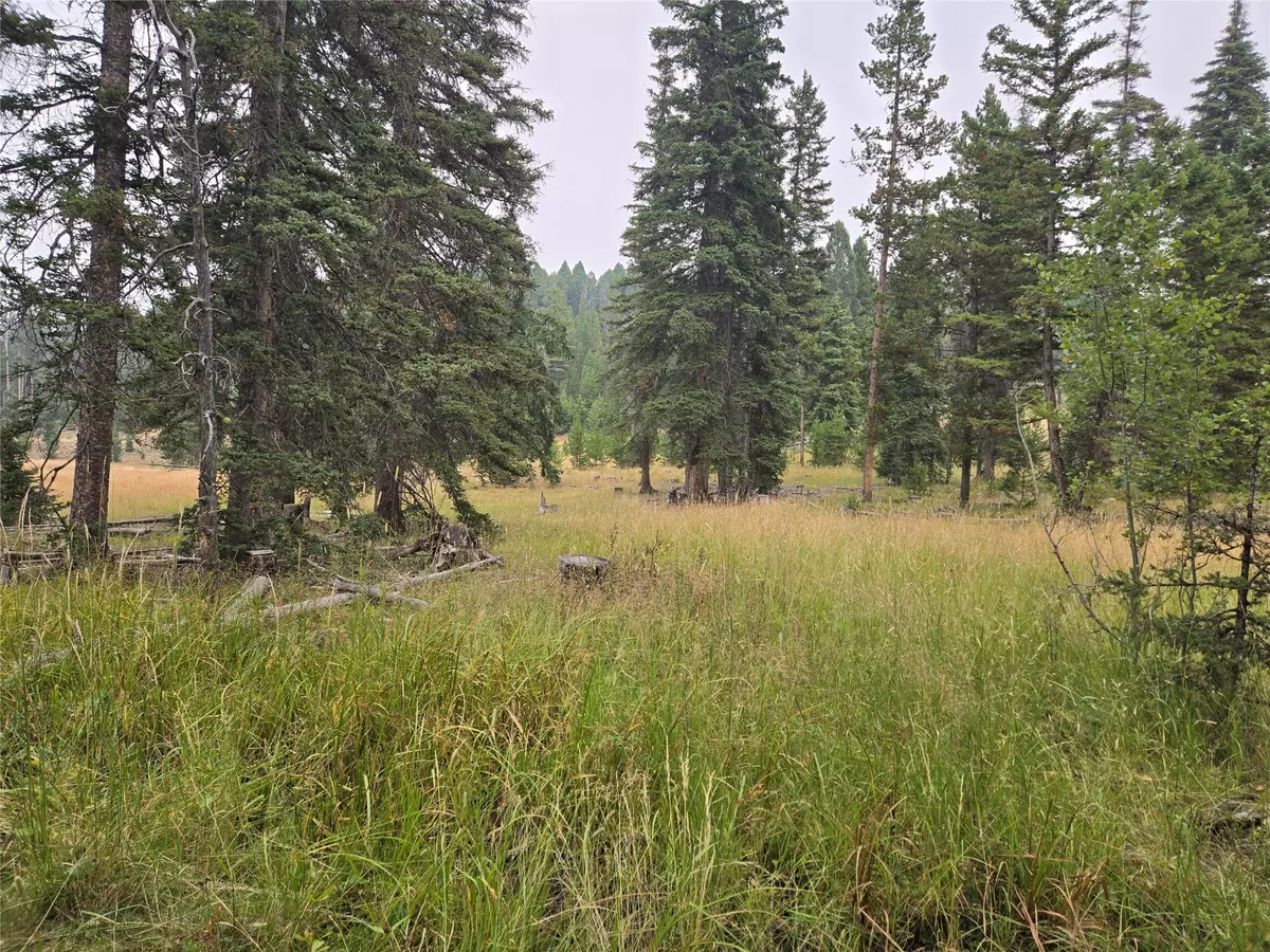 Gold Creek, MT 59733,Lot 86 Maple Leaf RD