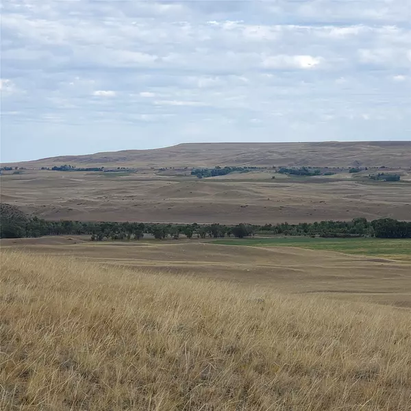 Augusta, MT 59410,NHN N Tamarack DR