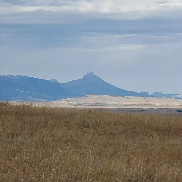 NHN N Tamarack DR, Augusta, MT 59410