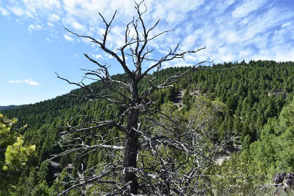 Butte, MT 59701,TBD Meadow Gulch RD