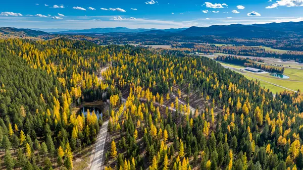 1179 Whitefish Ridge RD, Whitefish, MT 59937