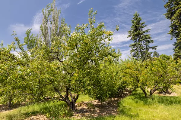 Bigfork, MT 59911,21770 Mt Highway 35