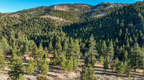 Clancy, MT 59634,172 Clancy Creek RD