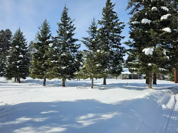 Seeley Lake, MT 59868,TBD Hwy 83 N