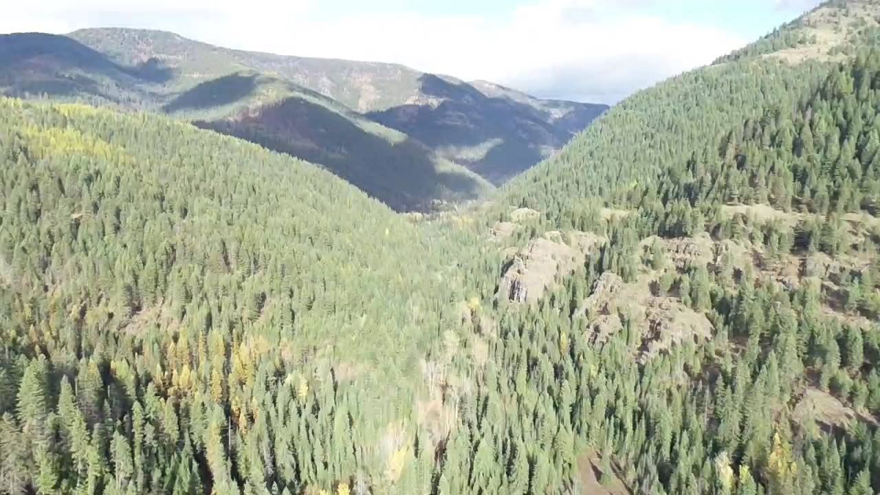 Nhn Pilgrim Creek RD, Noxon, MT 59853
