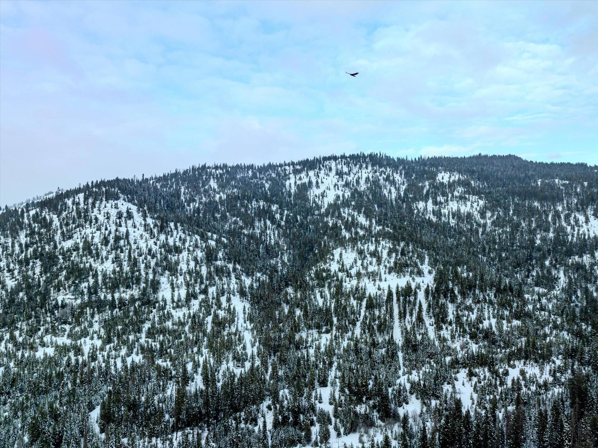 Libby, MT 59923,Nhn McGinnis Meadows - Bayhorse Road Section 1