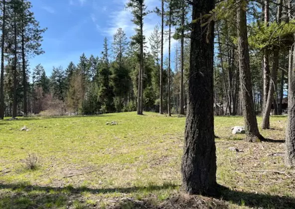 13962 Pine ST, Bigfork, MT 59911