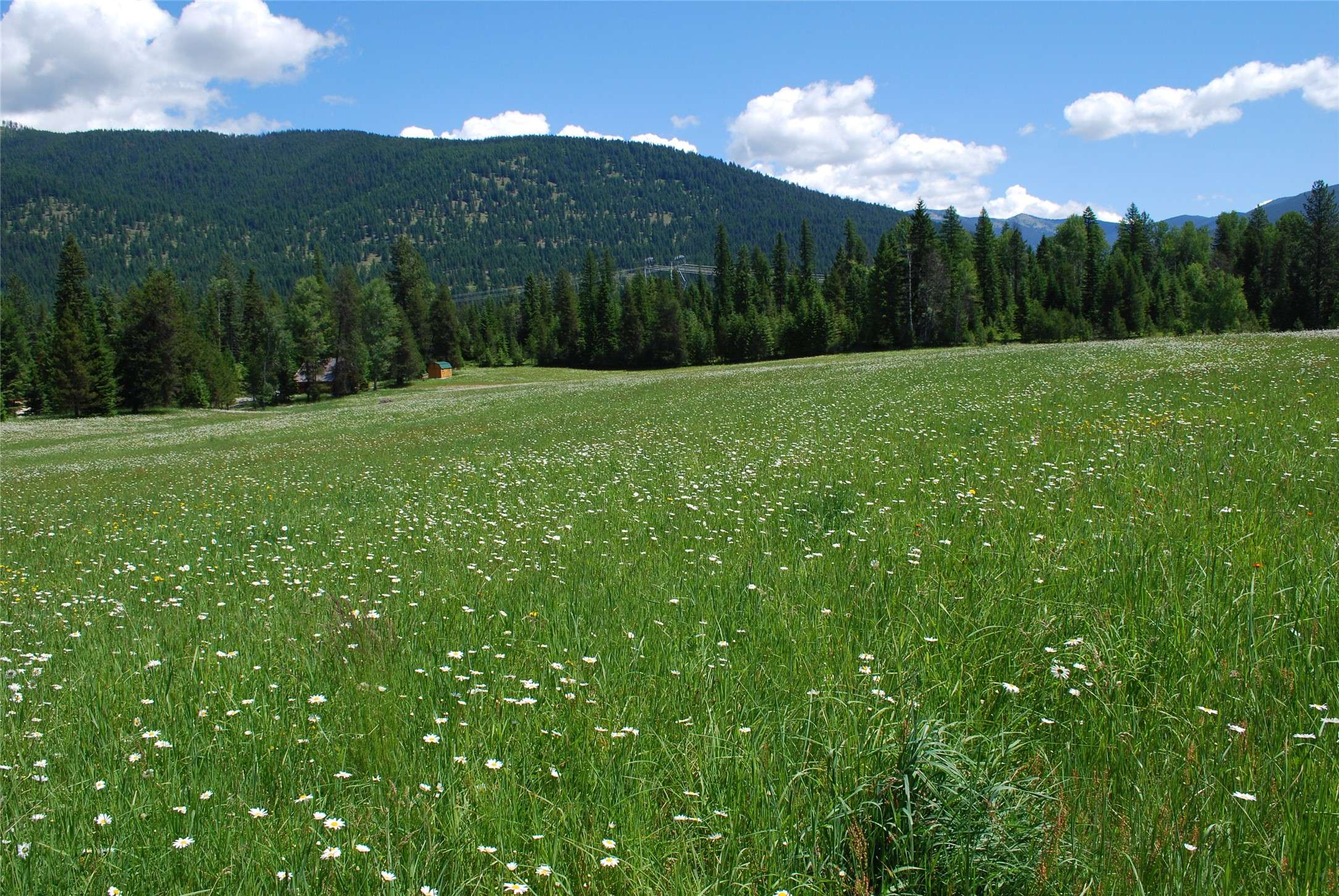 Nhn Timber Meadows LN, Trout Creek, MT 59874