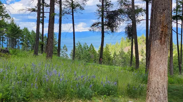 Rollins, MT 59931,19486 Wildwood RDG