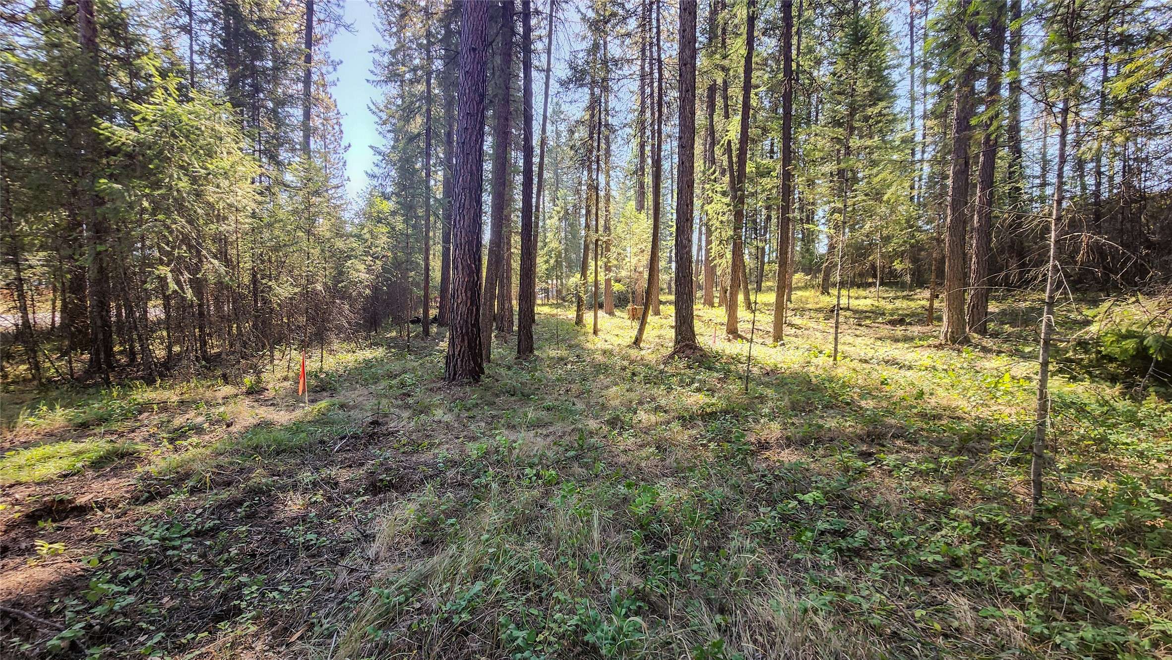 1505 Kootenai River RD, Libby, MT 59923