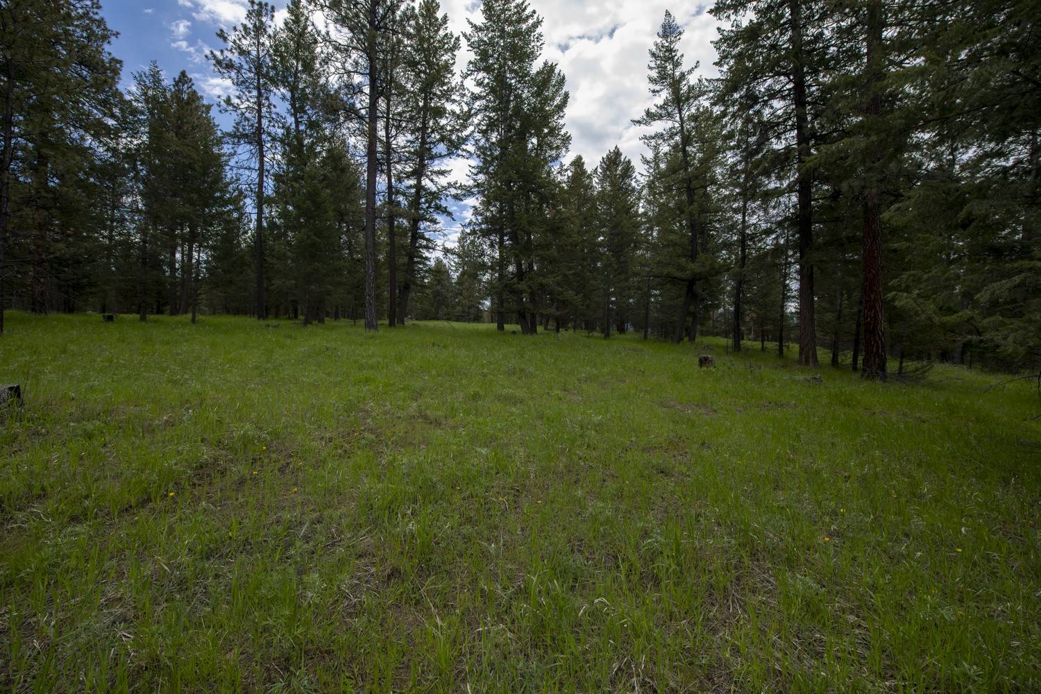 Rexford, MT 59930,Lot 1 Elk Camp