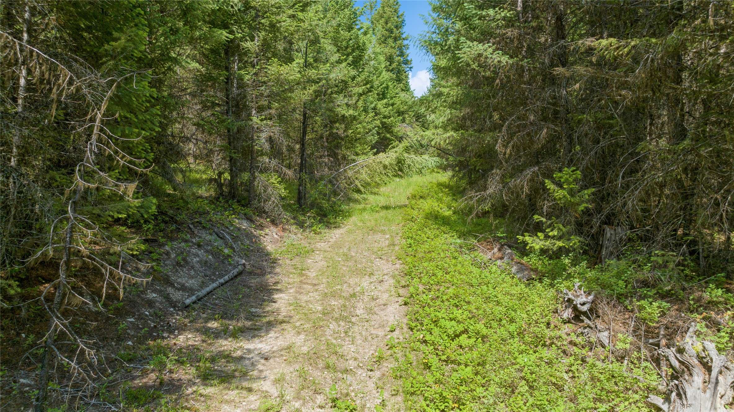 Rexford, MT 59930,nhn 540 Pinkham creek RD