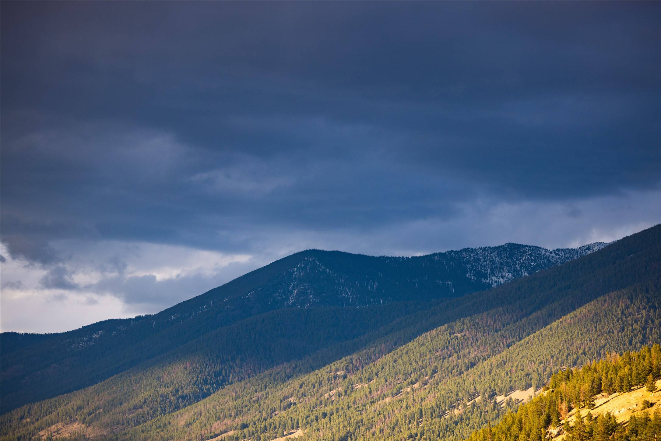 Eureka, MT 59917,NHN Moraine DR N