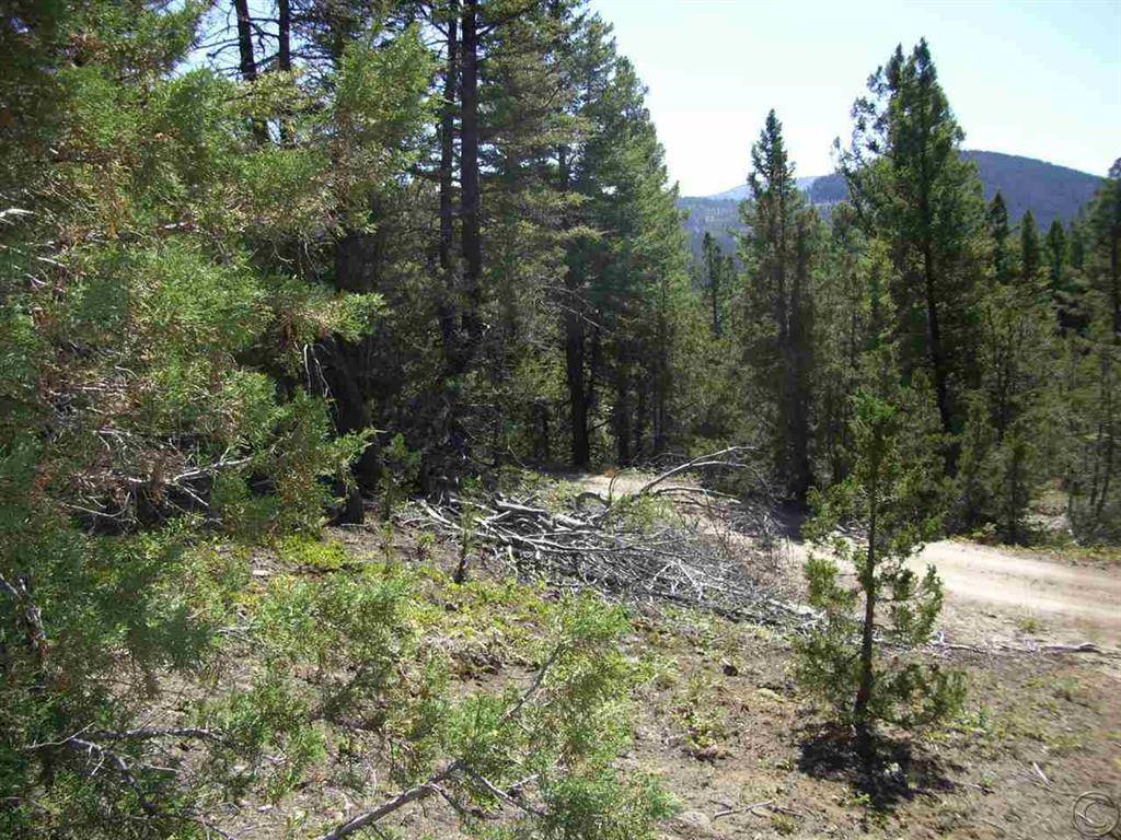 Philipsburg, MT 59858,179 Boarding House Flats RD