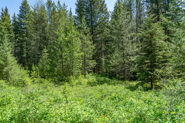 200 Stageline DR, Whitefish, MT 59937