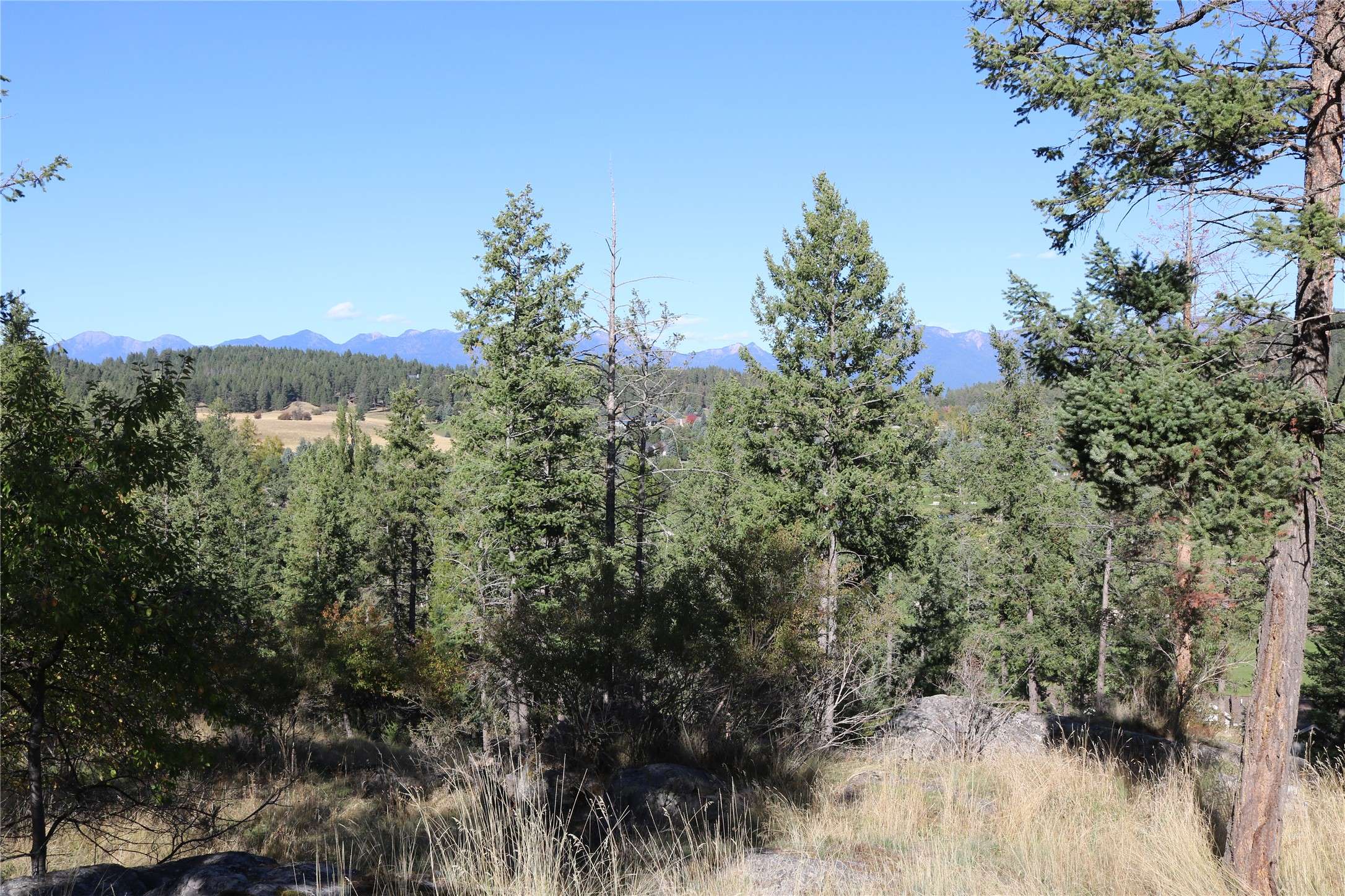 Bigfork, MT 59911,175 Aerie PL