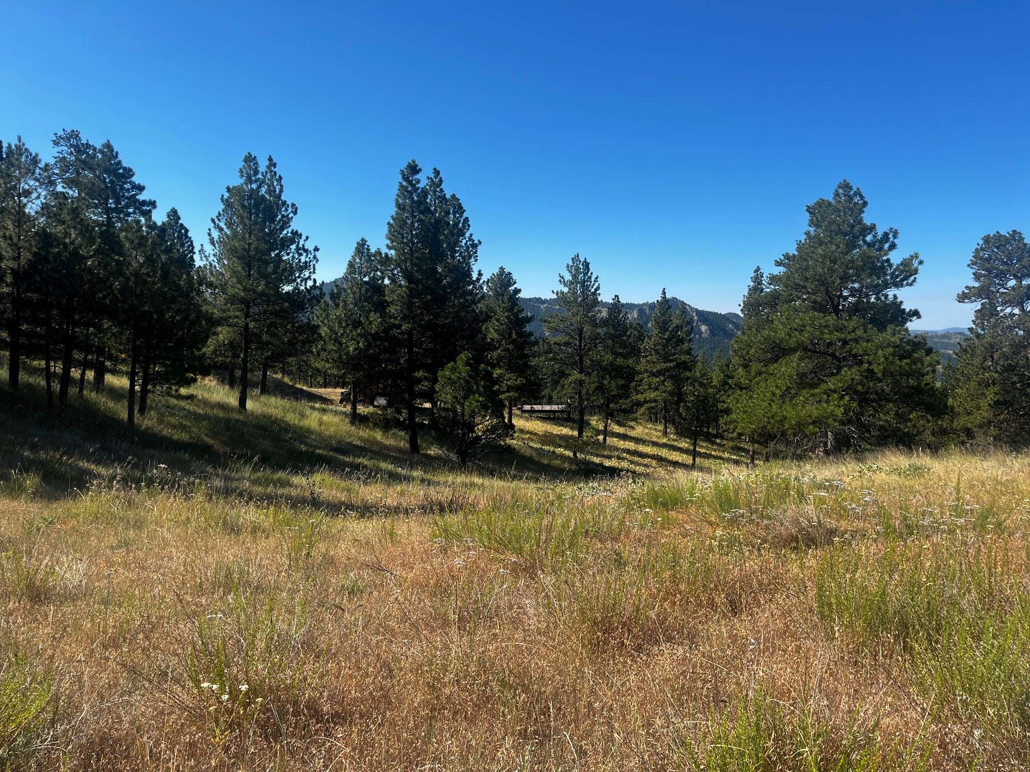 Cascade, MT 59421,146 Pioneer Trail LN