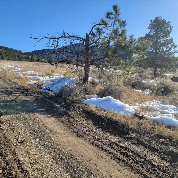 Corvallis, MT 59828,Lot B Sapphire Ranch TRL