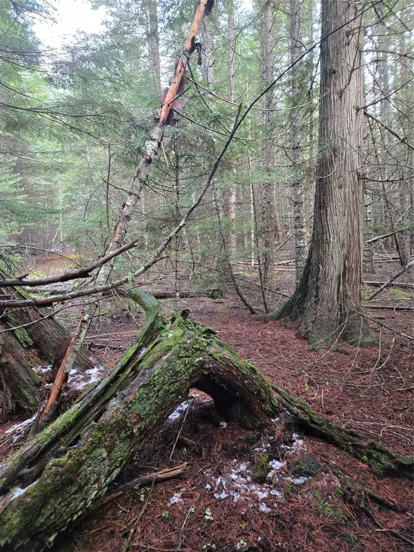 Heron, MT 59844,LOT A-2 Elk Heights LN