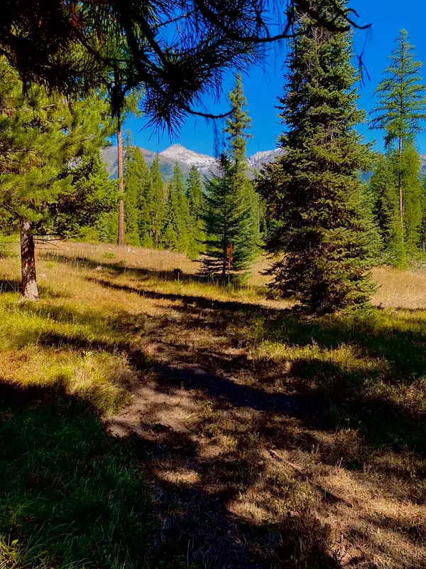 001 Rumble Creek RD, Condon, MT 59826