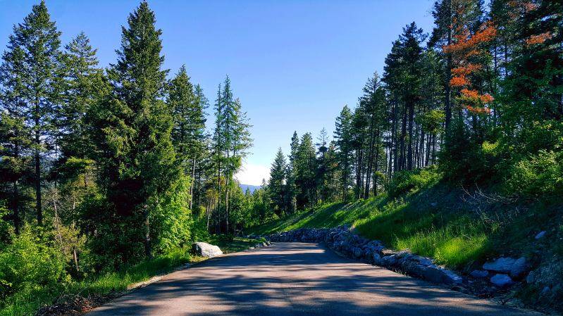 Bigfork, MT 59911,32691 Pine Meadow DR