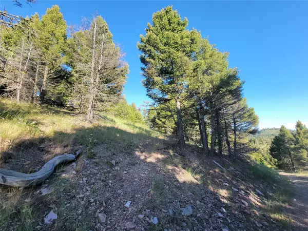 Helmville, MT 59843,Lot 107 Barn Swallow RD