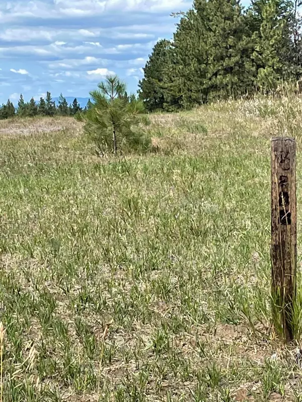 Eureka, MT 59917,286 Wilderness Club DR