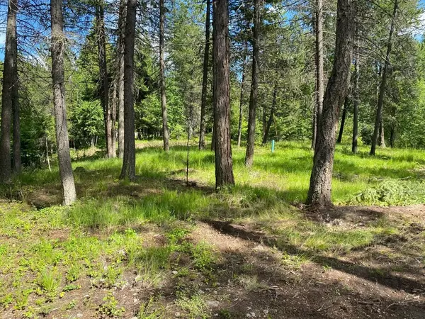 174 Reservoir RD, Whitefish, MT 59937