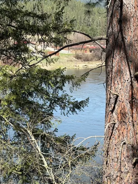 St Regis, MT 59866,Lot 3A River Run LOOP