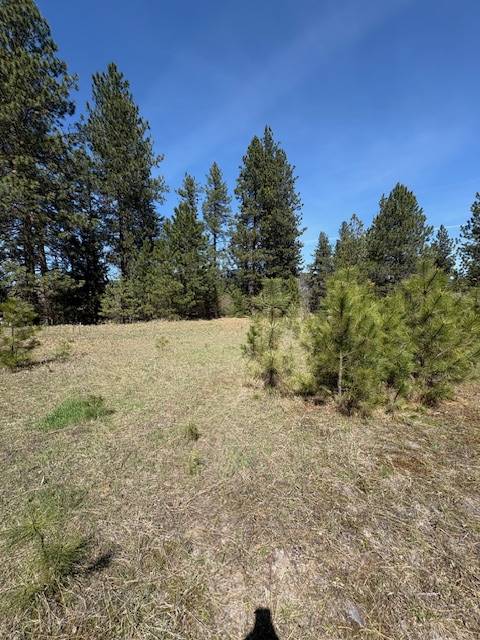 Lot 3A River Run LOOP, St Regis, MT 59866