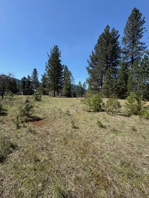 St Regis, MT 59866,Lot 3A River Run LOOP