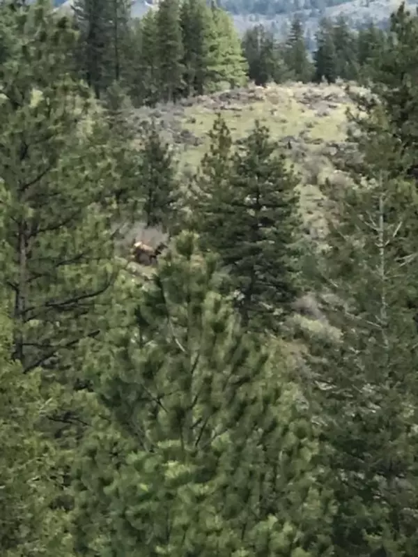 Plains, MT 59859,NKN West Fork Combest Creek RD