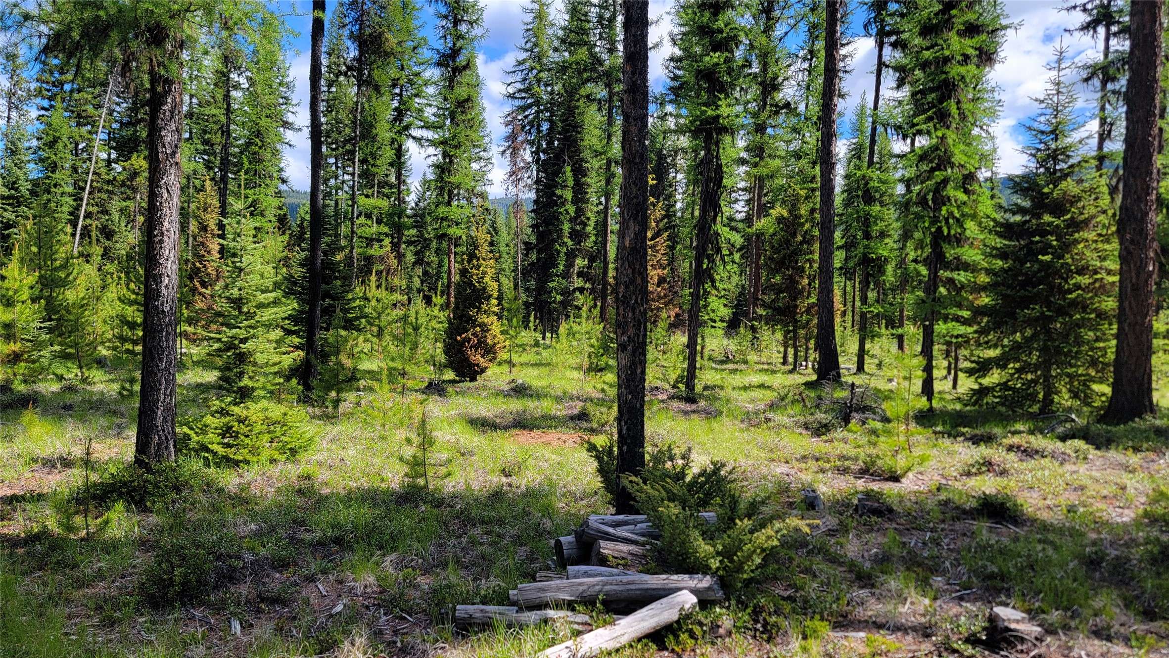 Yaak, MT 59935,141 Berts WAY