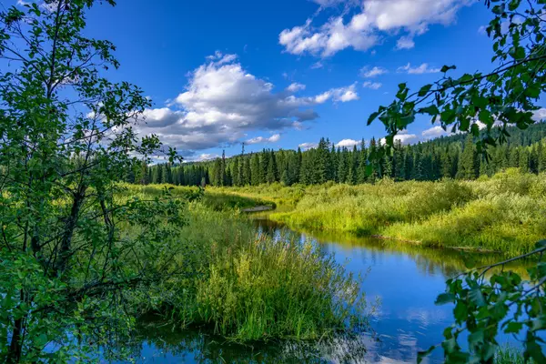 Seeley Lake, MT 59868,002 Route 83