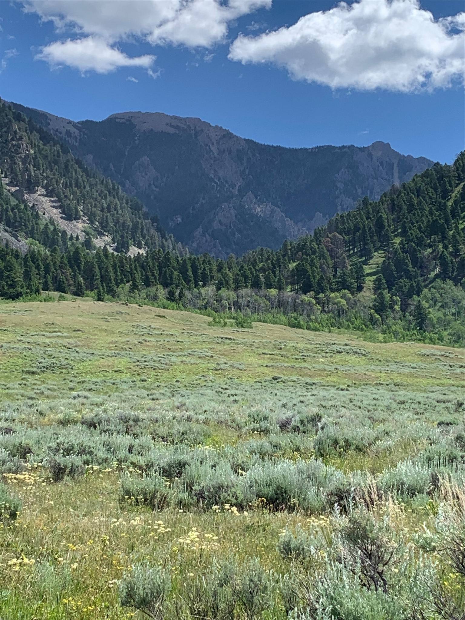 Tract 4 Slide Rock RD, Cameron, MT 59720