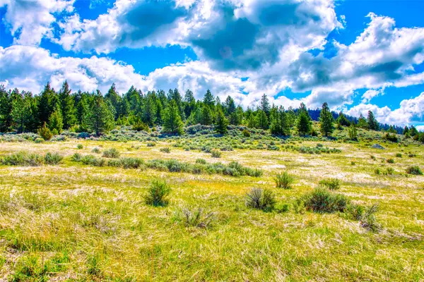 Corvallis, MT 59828,2136 Blue Sage TRL