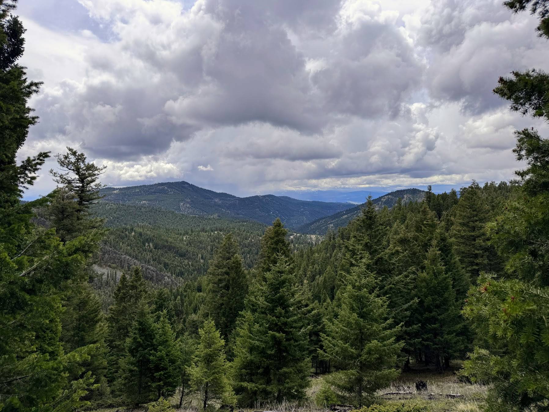 Helmville, MT 59843,653 Canyon Hollow LN